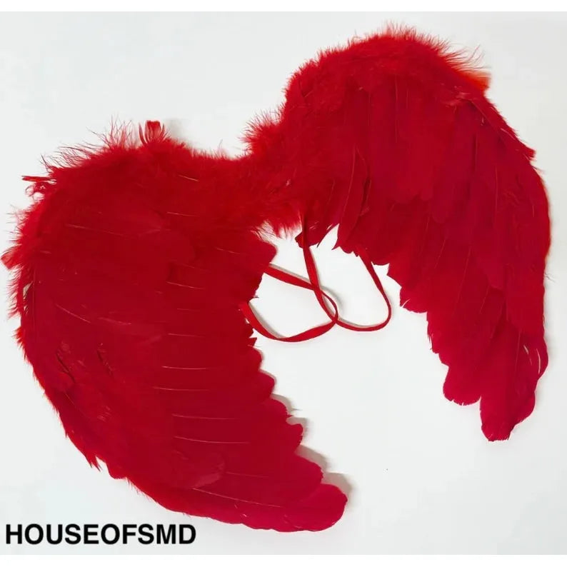 RED WINGS PRE ORDER SHIPPING 12th OF OCTOBER