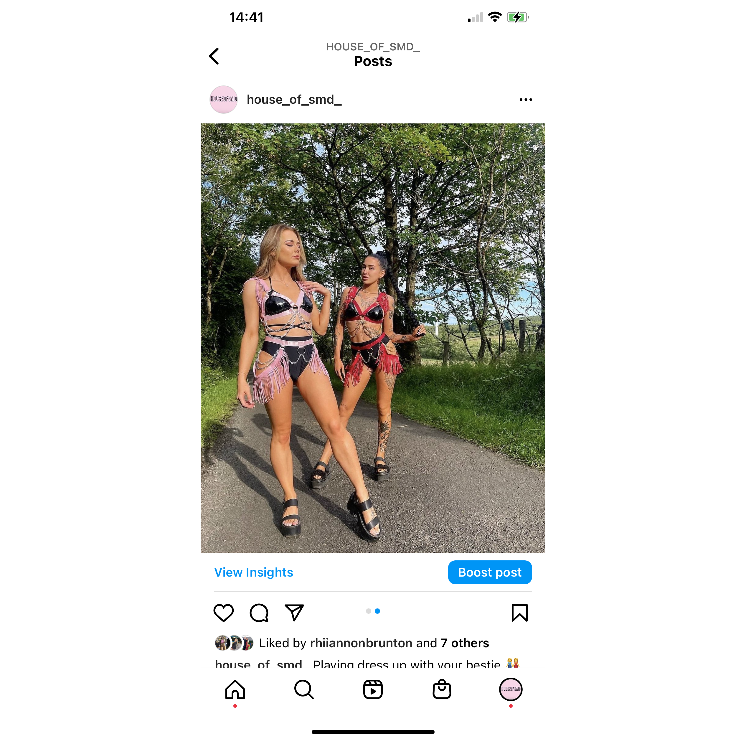 TWO PIECE FESTIVAL HARNESS