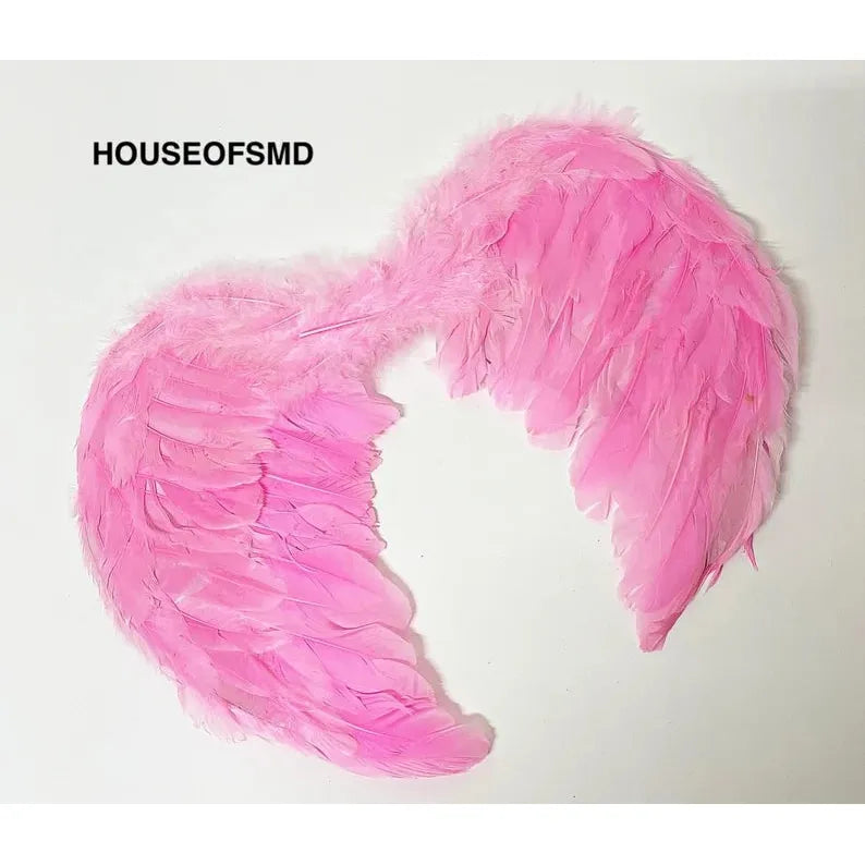 PINK WINGS