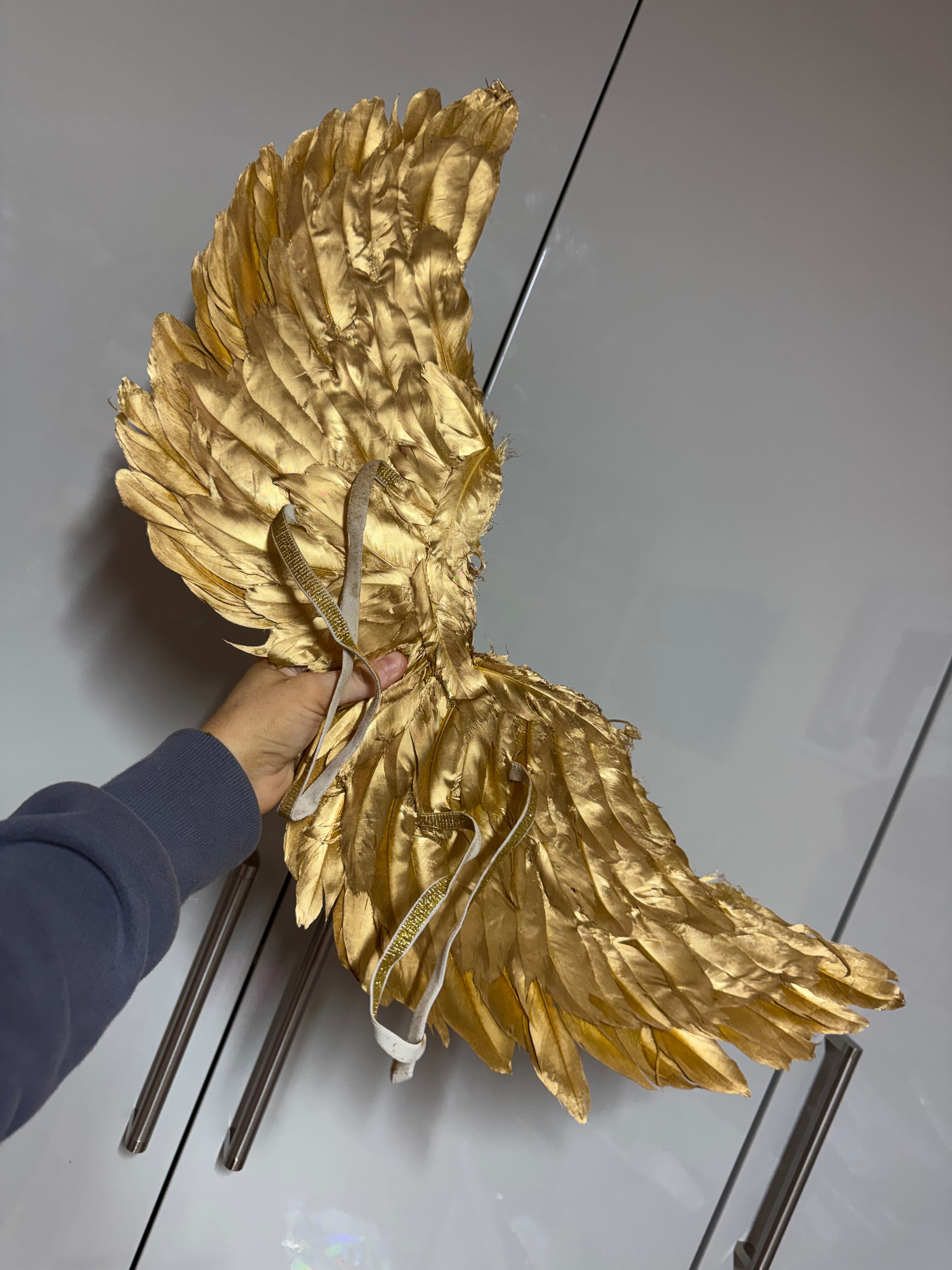 GOLD WINGS